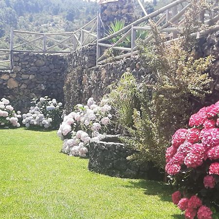Casas Rurales Los Guinderos Icod De Los Vinos Exterior foto